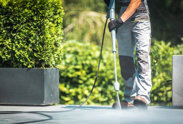 Best Gutter Cleaning  in Lford, MI