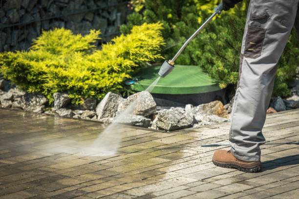 Best Roof Washing  in Lford, MI