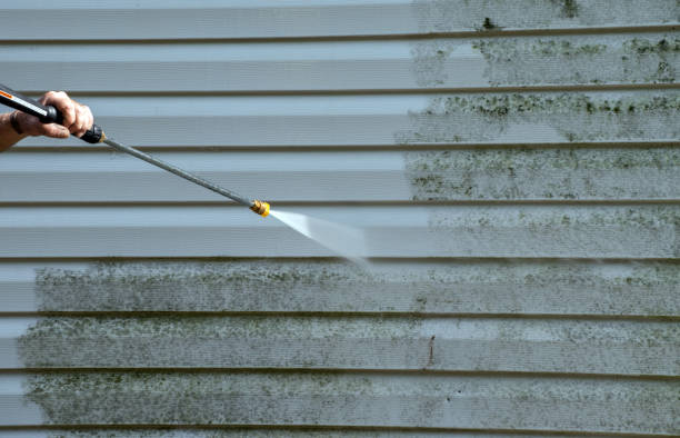 Best Dumpster Area Cleaning  in Lford, MI